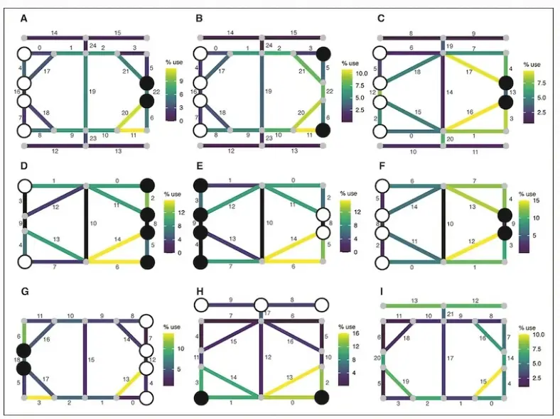Lost Roman Board Game Rules Solved by Artificial Intelligence 2 Lost Roman Board Game Rules