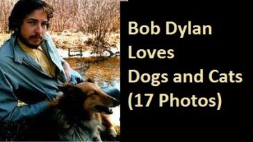 Bob Dylan Loves Dogs and Cats (17 Photos)