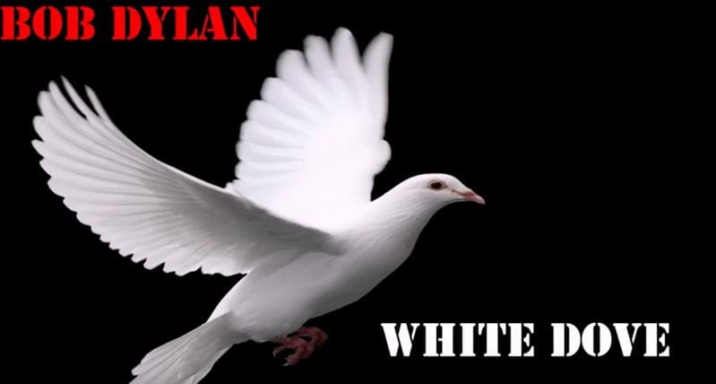 Bob Dylan - White Dove