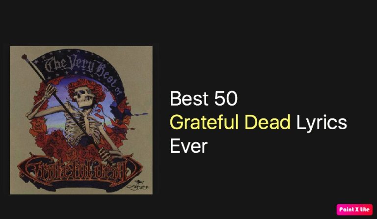 Best 15 Grateful Dead Lyrics Quotes and Verses NSF News