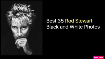 Best 35 Rod Stewart Black and White Photos