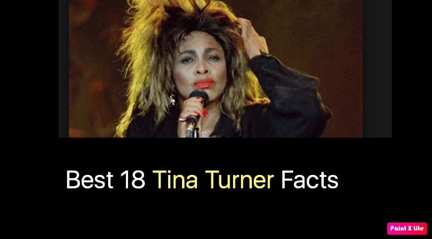Best 18 Tina Turner Facts
