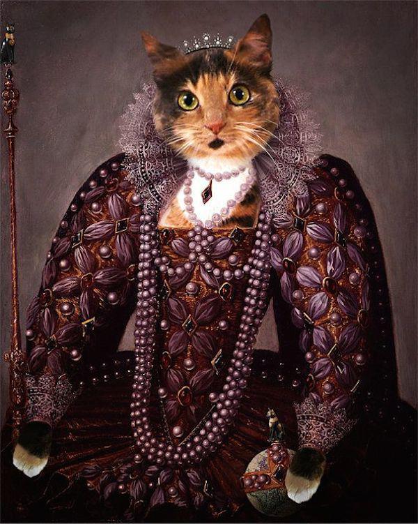 noble cats