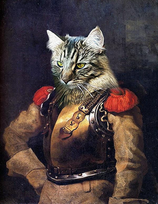 noble cats