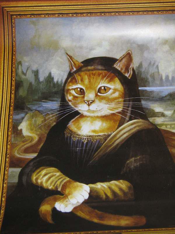 noble cats