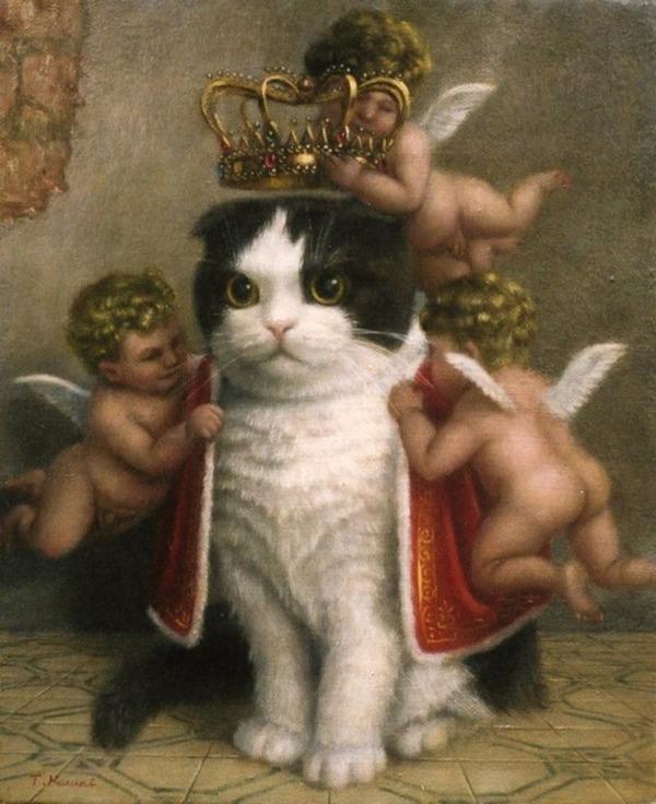 noble cats