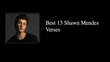 Shawn Mendes