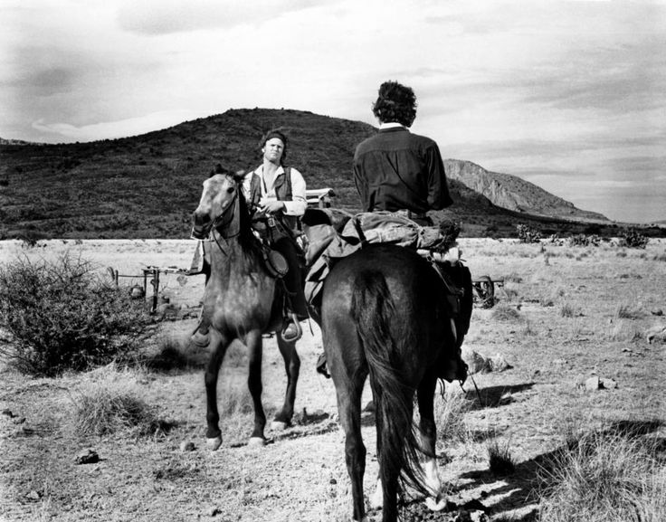 Bob Dylan 1970s Photos (280 Photographs) 46 Bob Dylan 1970s Photos