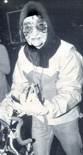 Celebrities Halloween Costumes