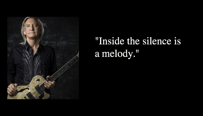 Best Joe Walsh Quotes and Lyrics 3 Joe Walsh quotes 3