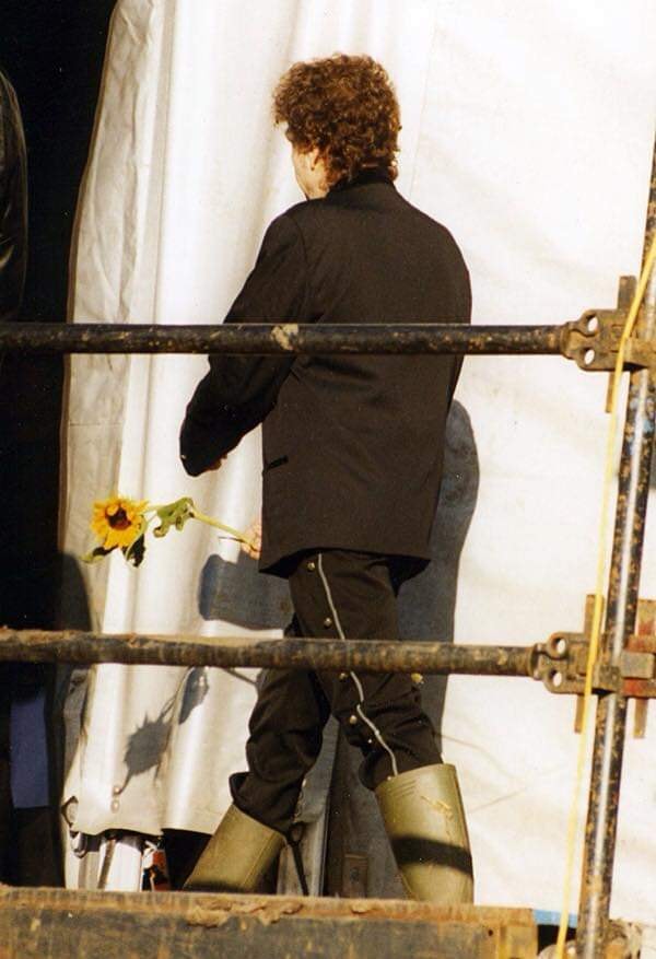 Bob Dylan with Sunflower