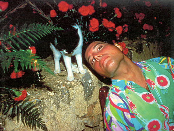 Freddie Mercury and Cats 20 Freddie Mercury and Cats