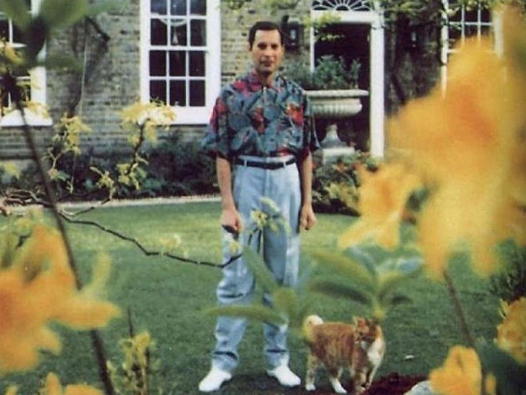 Freddie Mercury and Cats 10 Freddie Mercury and Cats