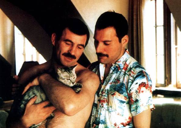 Freddie Mercury and Cats 9 Freddie Mercury and Cats