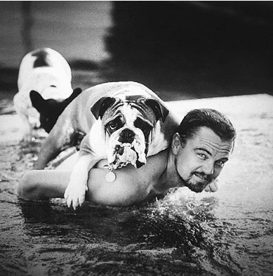 He donated $ 3 million to protect wildlife in the ocean.