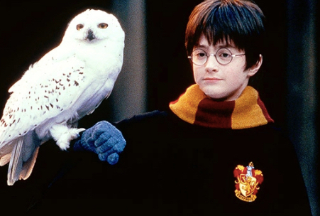 Hedwig Hedwig of Silesia harry potter