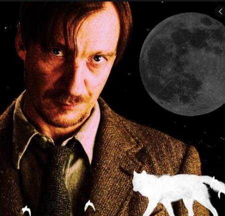 Remus Lupine Remus and Romulus