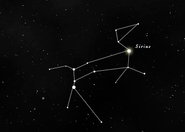 Sirius Dog Star harry potter