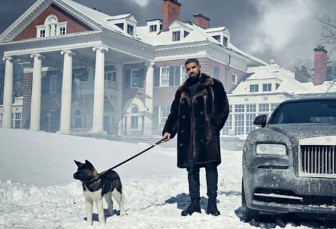 drake dogs