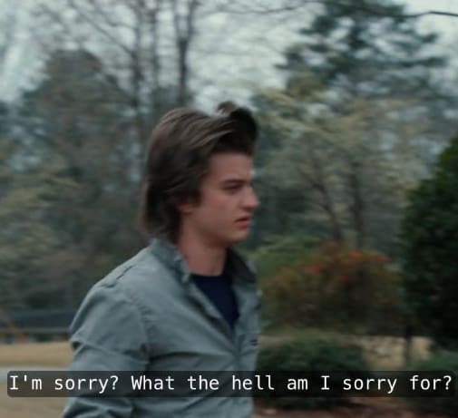 “I love you, and I’m sorry. I’m sorry? The hell am I sorry for?” Steve Harrington