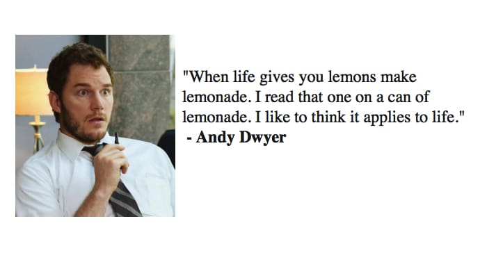 andy dwyer quotes