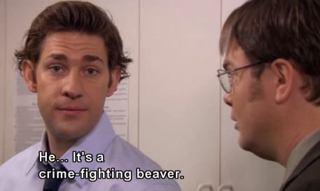 jim halpert quotes