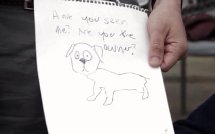 portlandia quotes dog