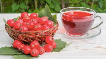 Benefits of Hawthorn Tea