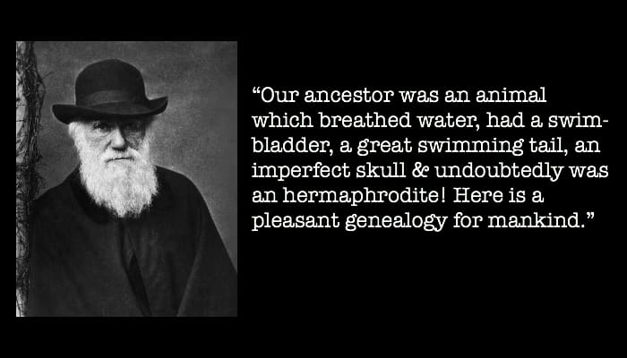 darwin quote change
