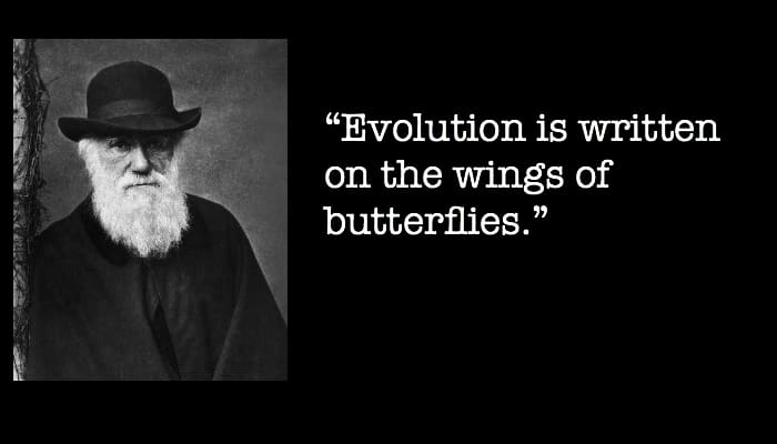 charles darwin quotes on evolution