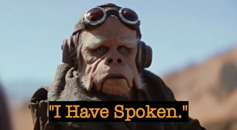 mandalorian Kuiil quotes I have spoken