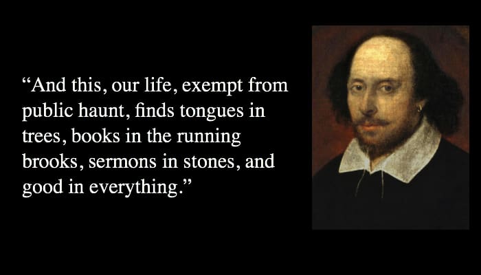 william shakespeare quotes