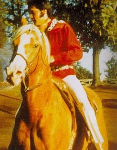 Elvis and Rising Sun