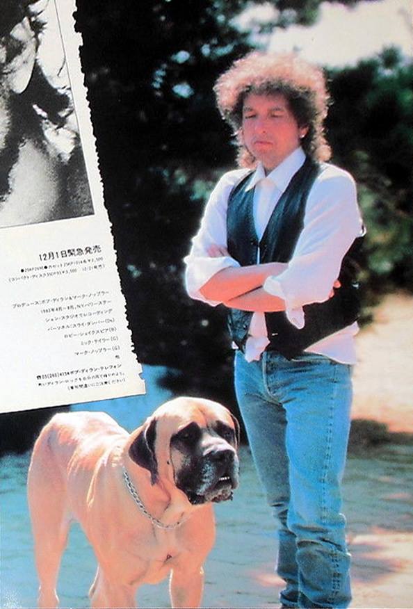 Bob Dylan's large dog comes from an English TV show