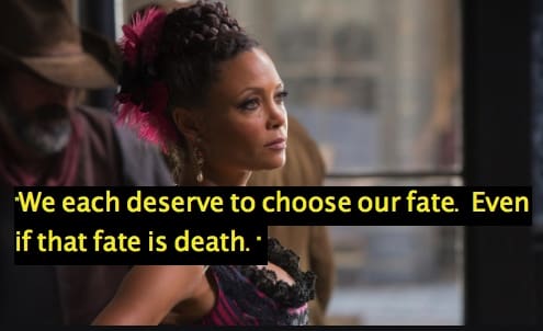 Maeve Millay quotes 3