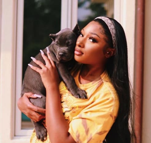 Megan Thee Stallion Facts  dog