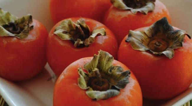 Persimmon Fruit and Benefits