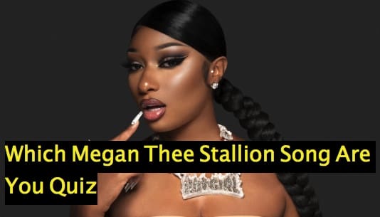 Which Megan Thee Stallion Song Are You Quiz