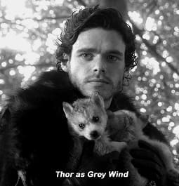 Robb Stark Quotes - Game of Thrones