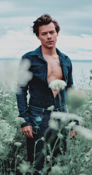 harry styles wallpaper