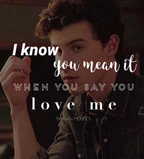 Shawn Mendes Quotes lyrics