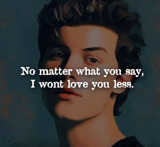 shawn mendes instagram captions
