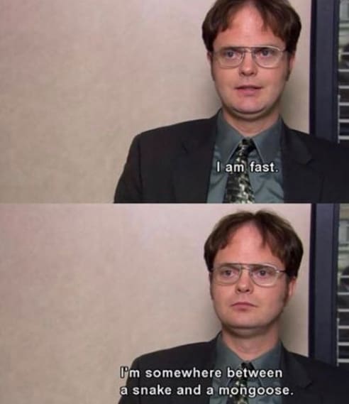 Dwight Schrute Quotes