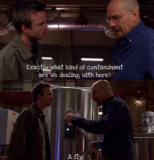 Jesse Pinkman Quotes