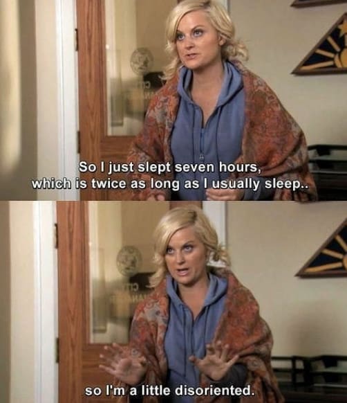 Leslie Knope Quotes