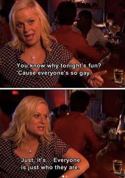 Leslie Knope Quotes