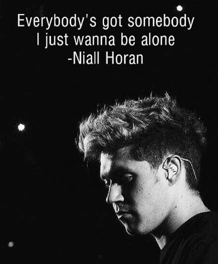 Niall Horan Quotes