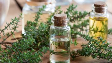 What Does Thyme Oil Do, How Is It Used, What Are the Benefits?
