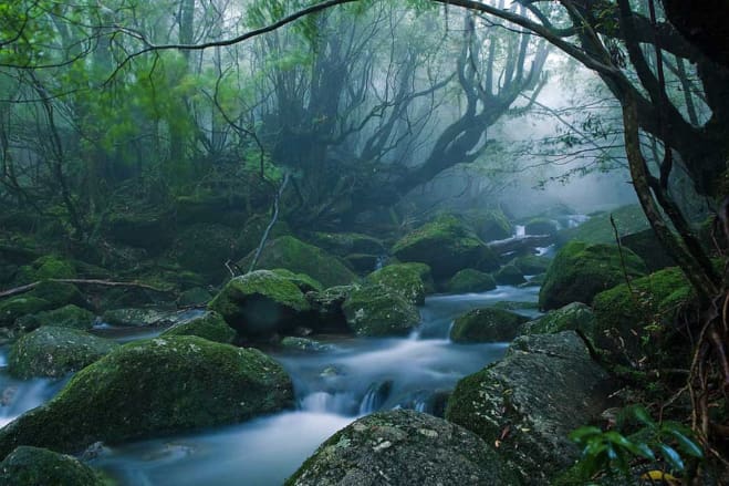 Yakushima