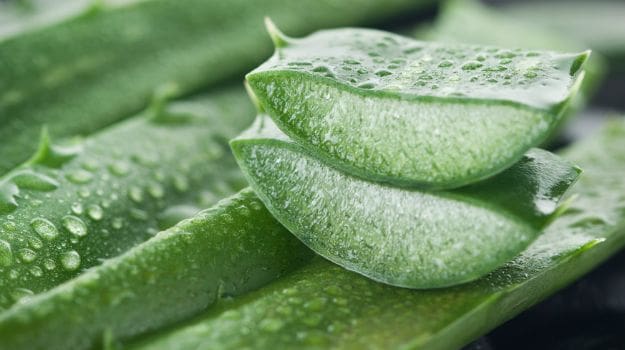 10 Amazing Benefits of Aloe Vera